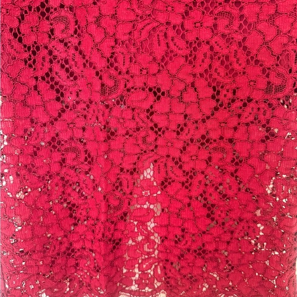 Bardot Floral‎ Lace Overlay Lined Midi Pencil Skirt Burgundy Size XS - Picture 10 of 11